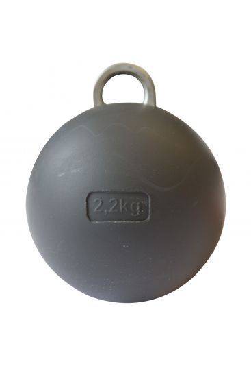 Poids cheminée 2,2 kg avec œillet