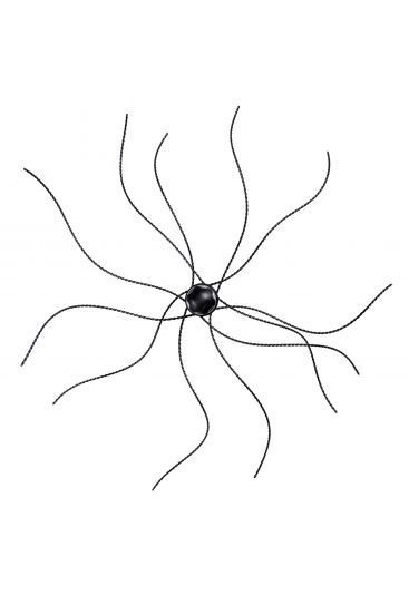Wöhler Snap & Sweep® Tête de Rotation