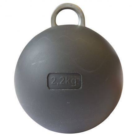 Poids cheminée 2,2 kg avec œillet