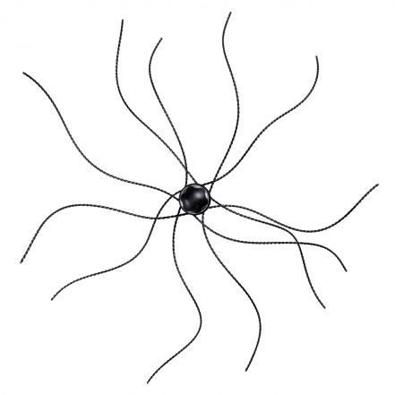 Wöhler Snap & Sweep® Tête de Rotation